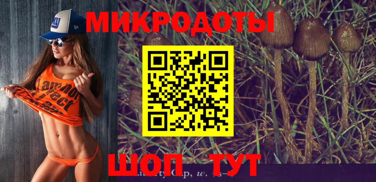 Галлюциногенные грибы GOLDEN TEACHER Белорецк