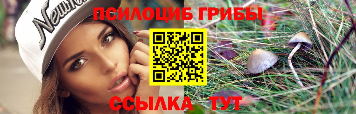 Белорецк  Галлюциногенные грибы Psilocybine cubensis  Вход с VPN 